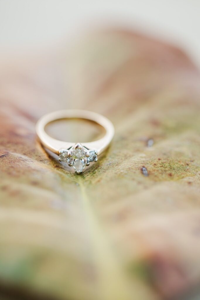 engagement ring on leaf