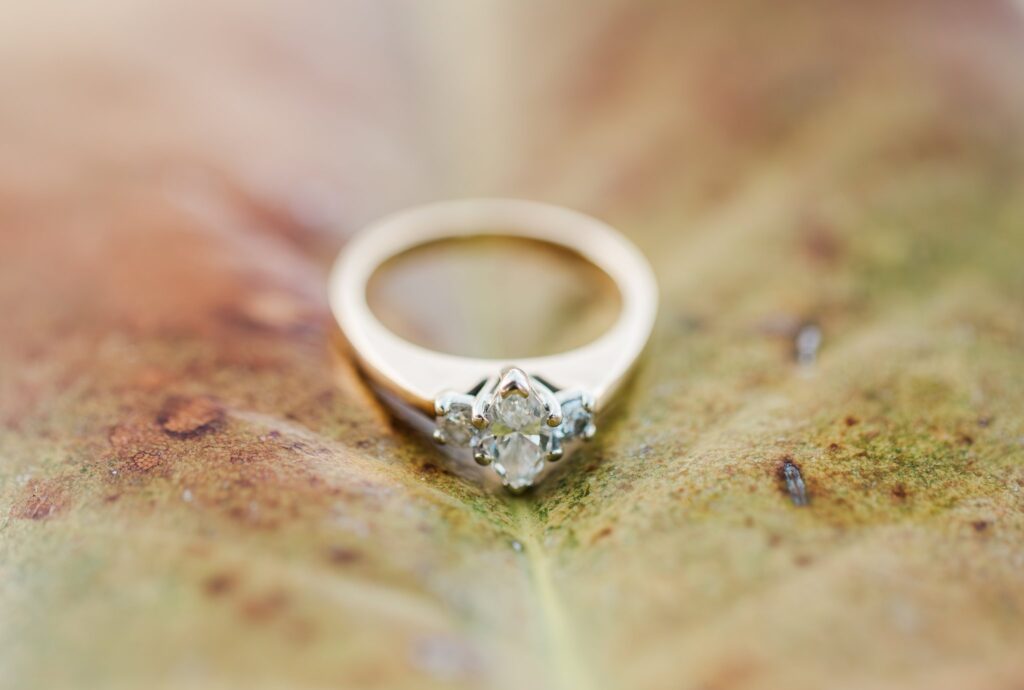 engagement ring on leaf