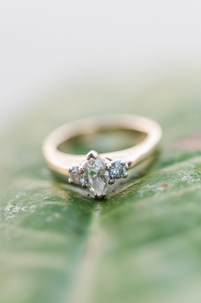 engagement ring on green leaf