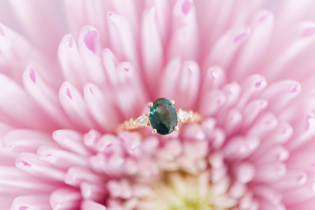 Gemstones on the gates of heaven, macro ring photography