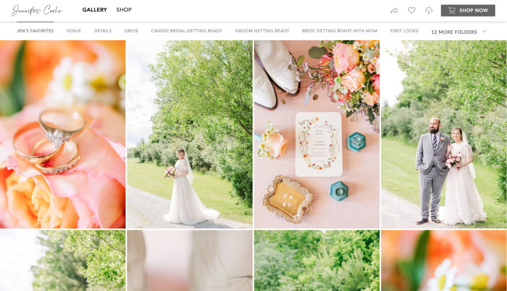 Photo of an online gallery, How to Pick a Wedding Photographer