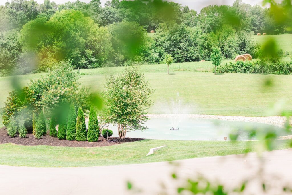 The pond at White Dove Barn