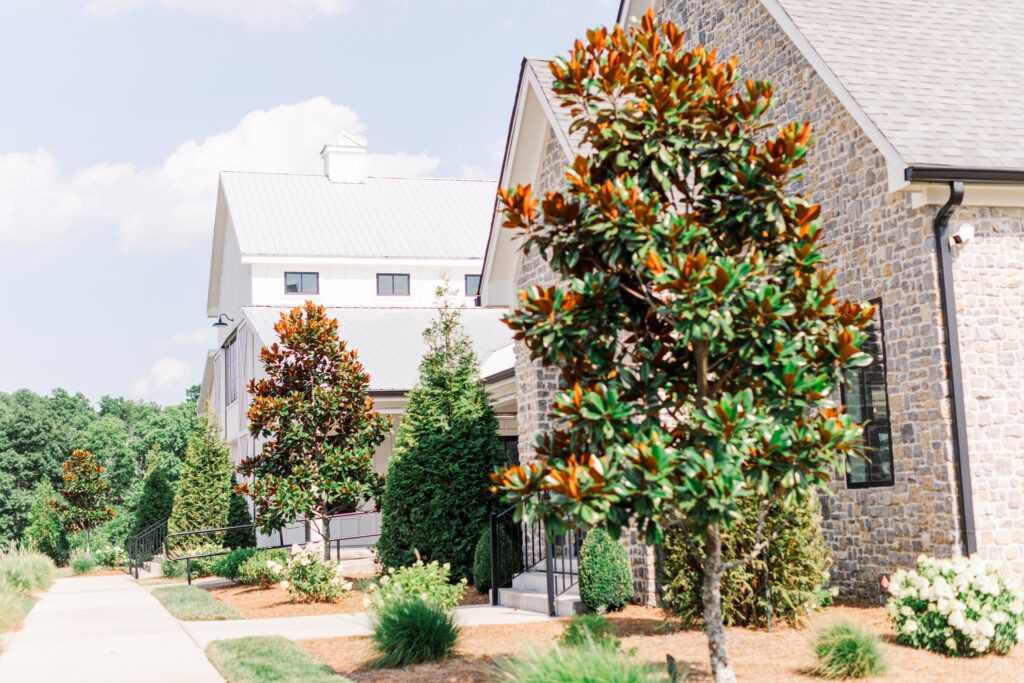 Beautiful trees and buildings during summer in Tennessee