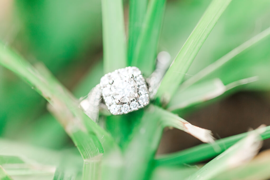 engagement ring against green grass